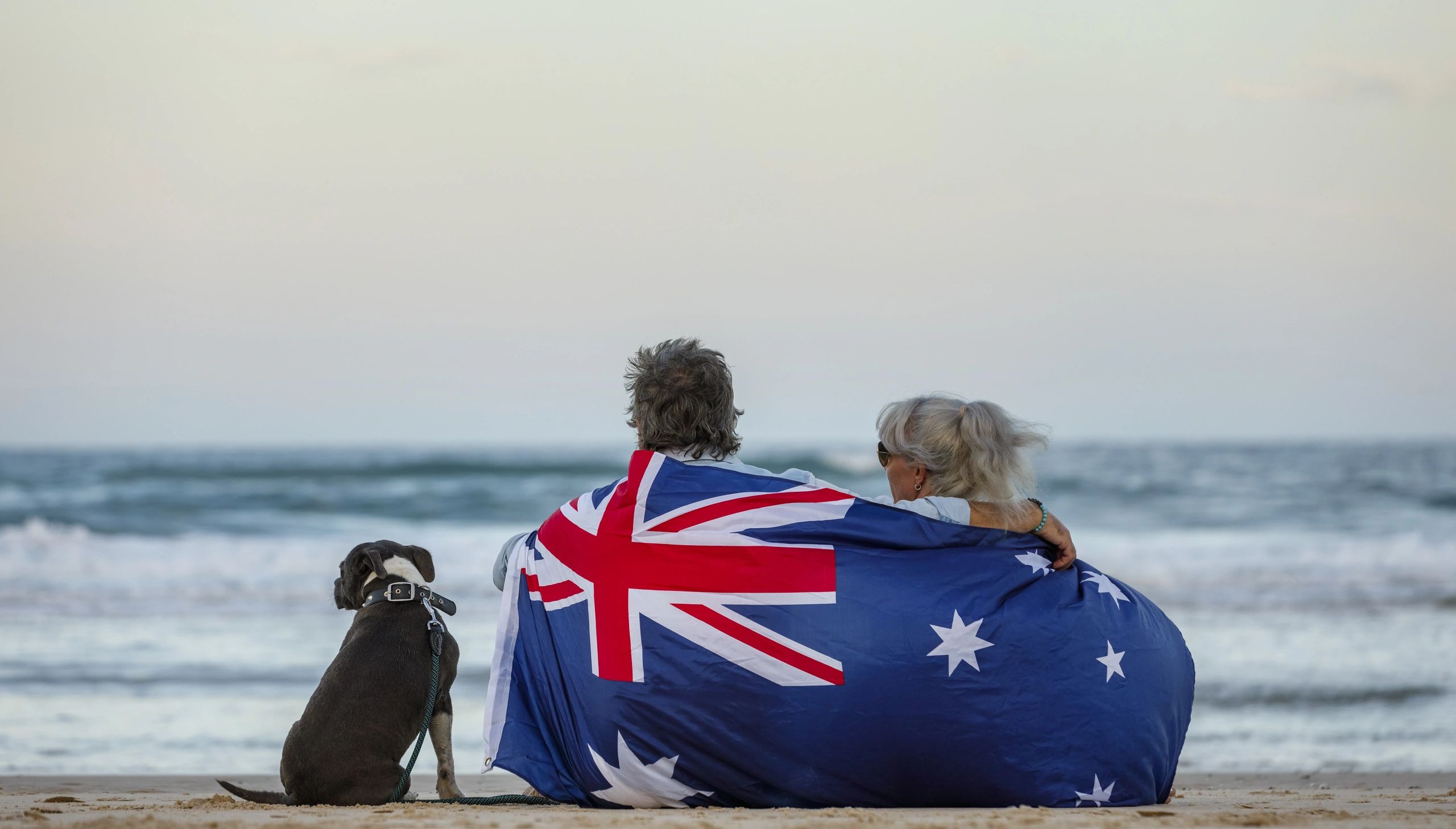 Taking a Dog From the UK to Australia; a Step by Step Guide